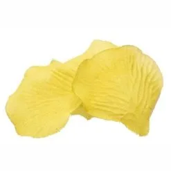 100 Pétales De Roses - Jaune Pâle