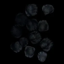 100 Pétales De Roses - Noir