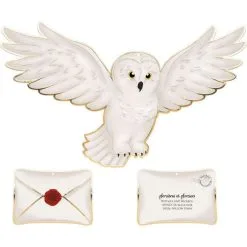 5 Suspensions Chouettes Et Enveloppes Apprenti Sorcier -COSTUMED’HALLOWEEN 5 suspensions chouettes et enveloppes apprenti sorcier farfouil en fete 31135466 91947923 ca90 4132 a486 115e21e22112