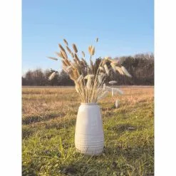 Bouquet De 30 Bunny Tails Brun Naturel 60 Cm