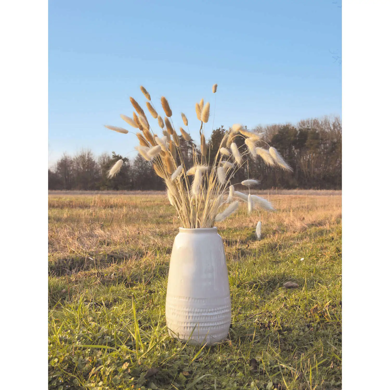 Bouquet De 30 Bunny Tails Brun Naturel 60 Cm 1 Bouquet De 30 Bunny Tails Brun Naturel 60 Cm