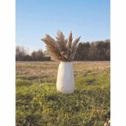 Bouquet De 5 Pampas Brun Naturel 60 Cm