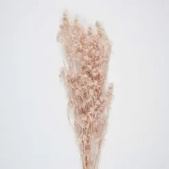 Bouquet De Chardons Séchés Rose Vintage 60 Cm