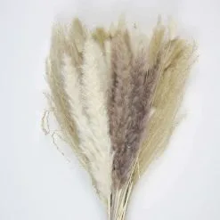 Bouquet De Fleurs Séchées Naturelles 60 Cm