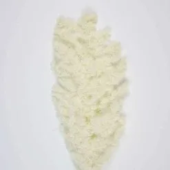 Bouquet De Pampas Asparagus Blanc 70 Cm