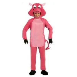 COSTUME COCHON