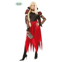 COSTUME SORCIERE DU MAL