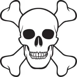 DÉCOR TÊTE DE MORT