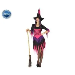 DÉGUISEMENT SORCIÈRE ROSE ET MAUVE FEMME