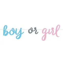 Guirlande Boy Or Girl Gender Reveal 213 Cm