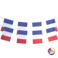 GUIRLANDE POLYESTER 8 PAVILLONS FRANCE 30 X 45 CM 4.5 M