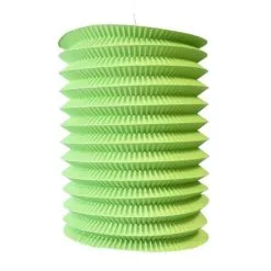 LAMPION CYLINDRIQUE 13 CM ANIS