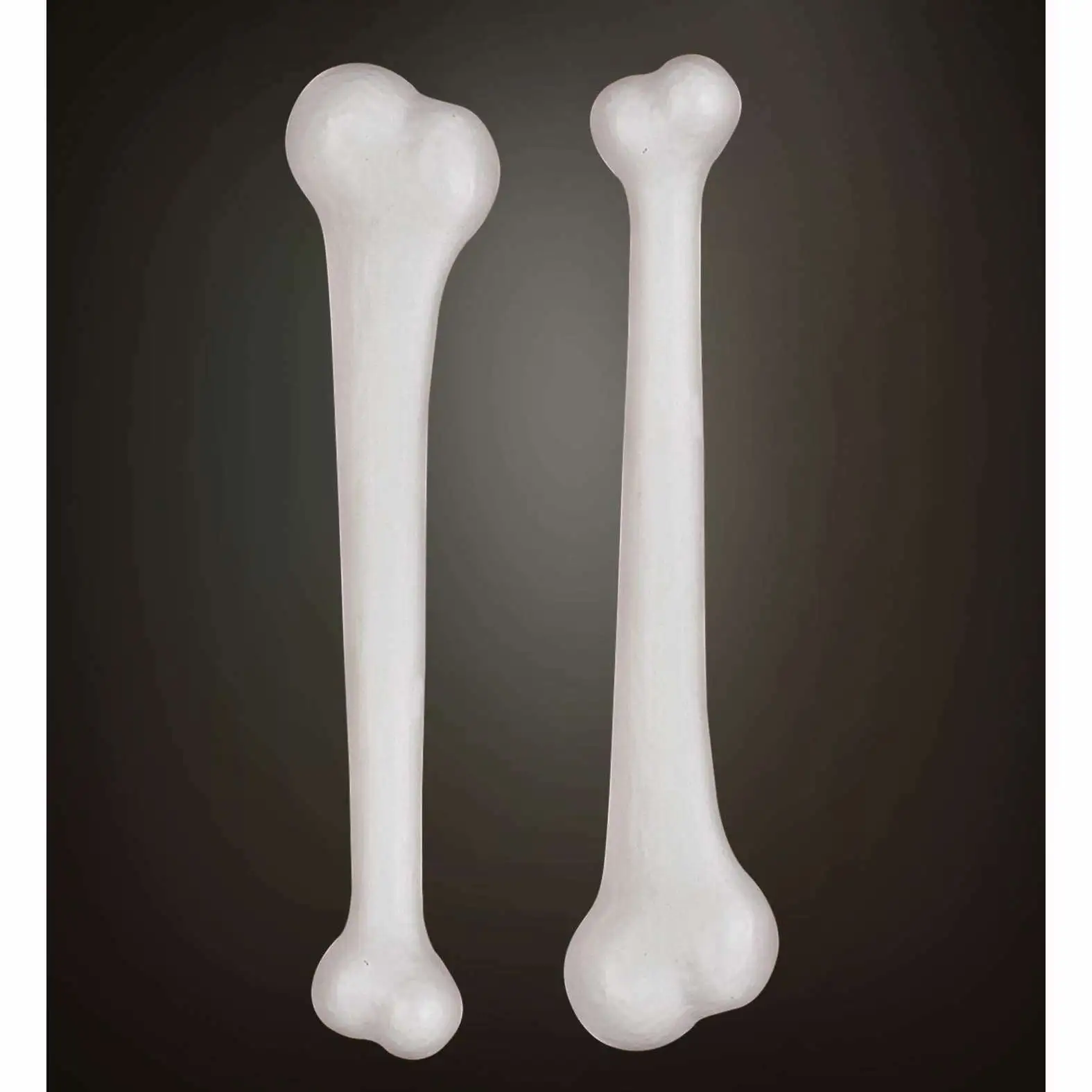 Lot De 2 Os De Cannibale De 23 Cm 1 Lot De 2 Os De Cannibale De 23 Cm