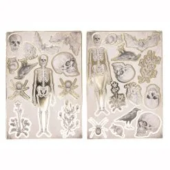 Planches De 25 Stickers - Cabinet De Curiosités