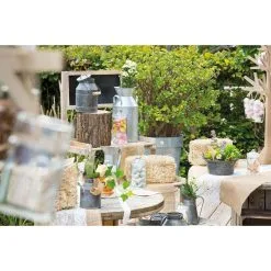 Pot à Lait En Zinc Avec Couvercle 9 X 22 Cm -COSTUMED’HALLOWEEN pot a lait en zinc avec couvercle 9 x 22 cm farfouil en fete 30269306 eea417f5 5984 4c38 a832 7c89220ba917