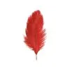SACHET 2 PLUMES AUTRUCHE ROUGE 30-35CM