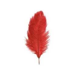 SACHET 2 PLUMES AUTRUCHE ROUGE 30-35CM