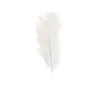 SACHET 5 PLUMES AUTRUCHE BLANC 20-25CM