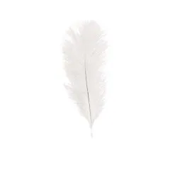 SACHET 5 PLUMES AUTRUCHE BLANC 20-25CM