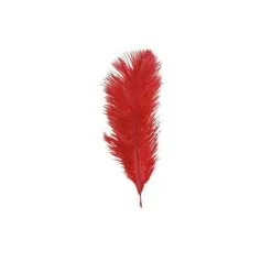 Sachet De 5 Plumes D'autruches Rouges 20-25 Cm