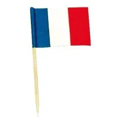 SACHET DE 50 MINI DRAPEAUX FRANCE
