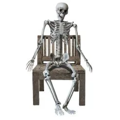 Squelette à Taille Humaine 160/165 Cm